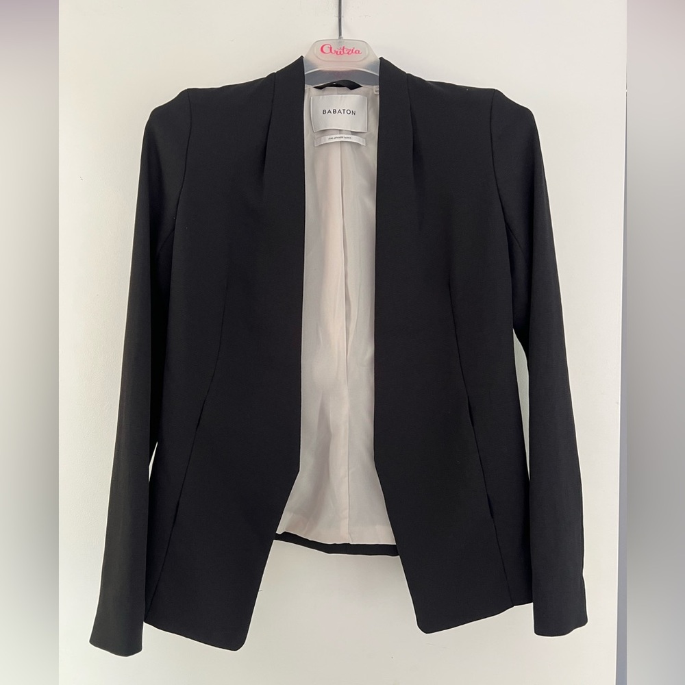 Babaton Black Blazer From Aritzia